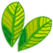 Школа гальванопластики Екатерины Кузнецовой logo